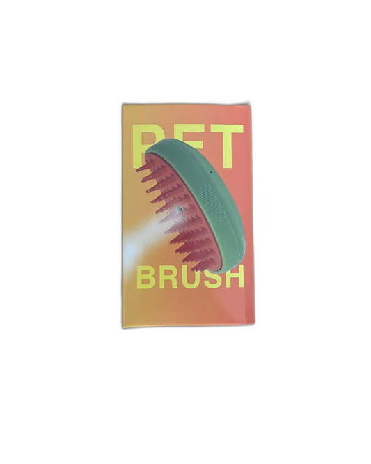 STEAM BRUSH