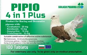 PIPIO BIRDS
